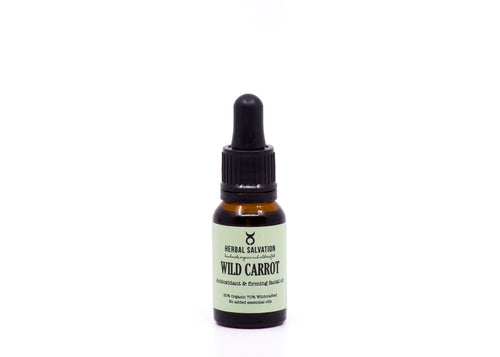 Wild Carrot
