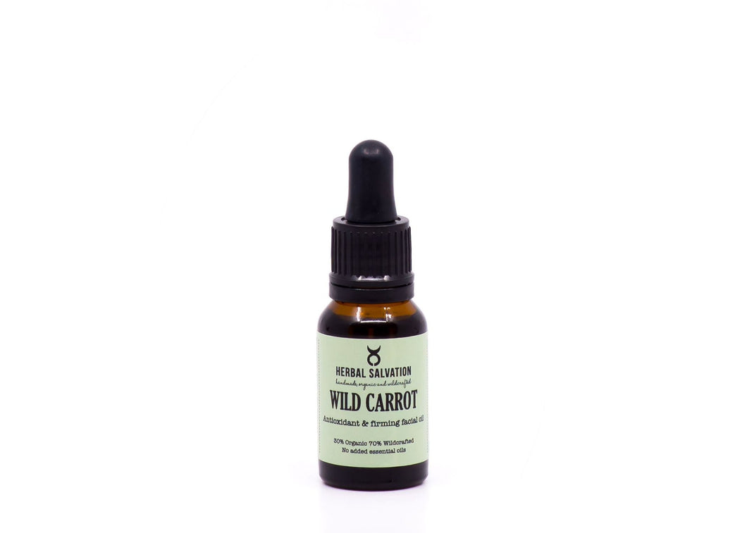 Wild Carrot